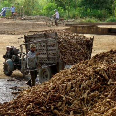 csm_klimaschutzprojekt-vietnam-7134-1_2277d4dbd1