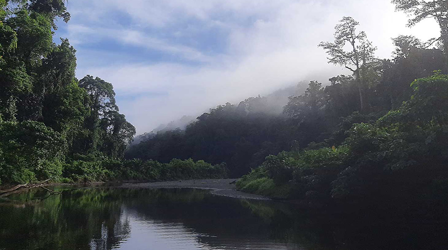 myclimate-Klimaschutzprojekt-7225-Solomonen-Morning-on-the-Kolombangara-river-LEAD