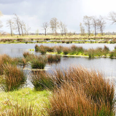 myclimate-klimaschutzprojekt-moor-deutschland-7221-LEAD